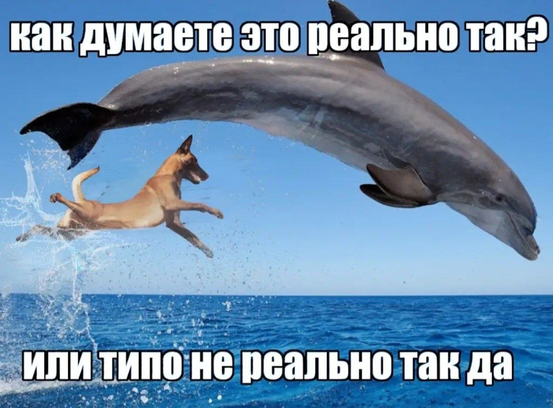 meme